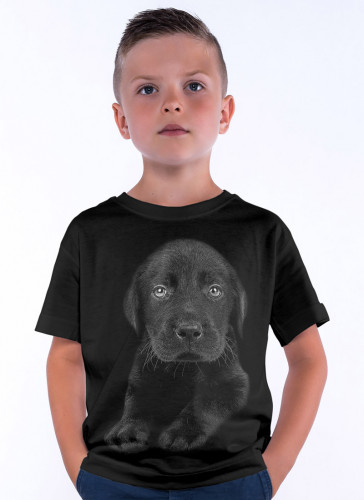 Pies Labrador Czarny Szczeniak-wyp - Tulzo